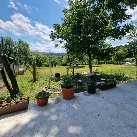 Casa Primitoare In Inima Naturii Si Padurii Rasca  Exterior photo